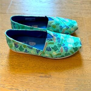 Alpargata Toms size W 5